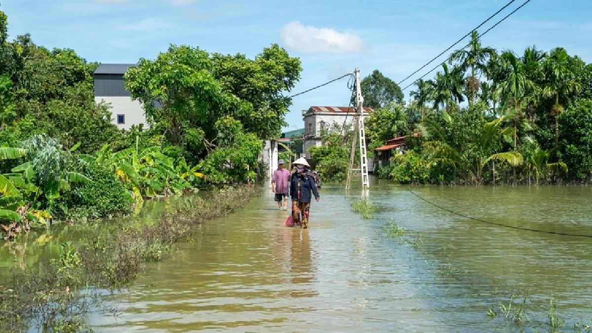Bilanço katlanıyor! Bualoi Tayfunu Güneydoğu Asya'yı sardı