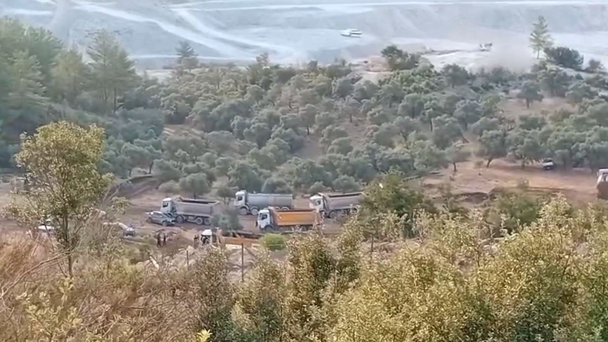 AYM, zeytinlikleri madene açan yasayı gündemine aldı