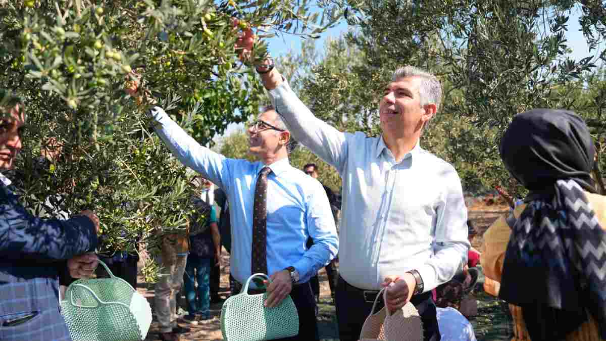 Soma’da Zeytin Hasadı Şenliği...