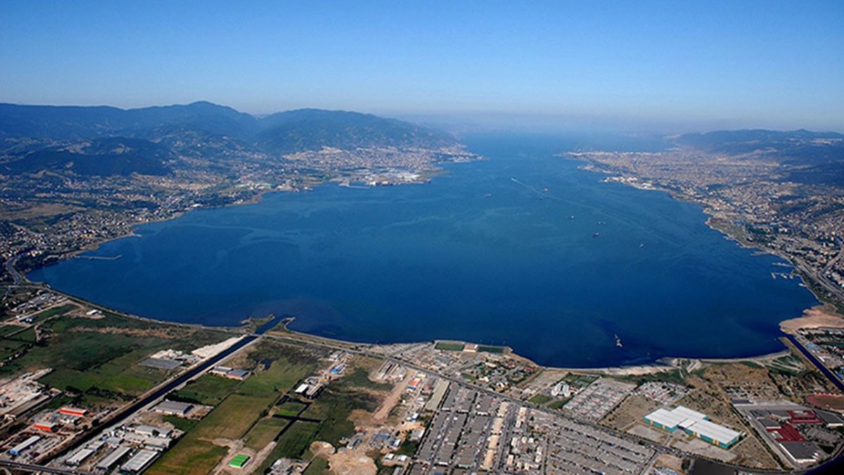 Bir zamanlar kokusuyla anılan İzmit Körfezi şimdi akvaryum gibi: O balık sürüleri geri döndü!