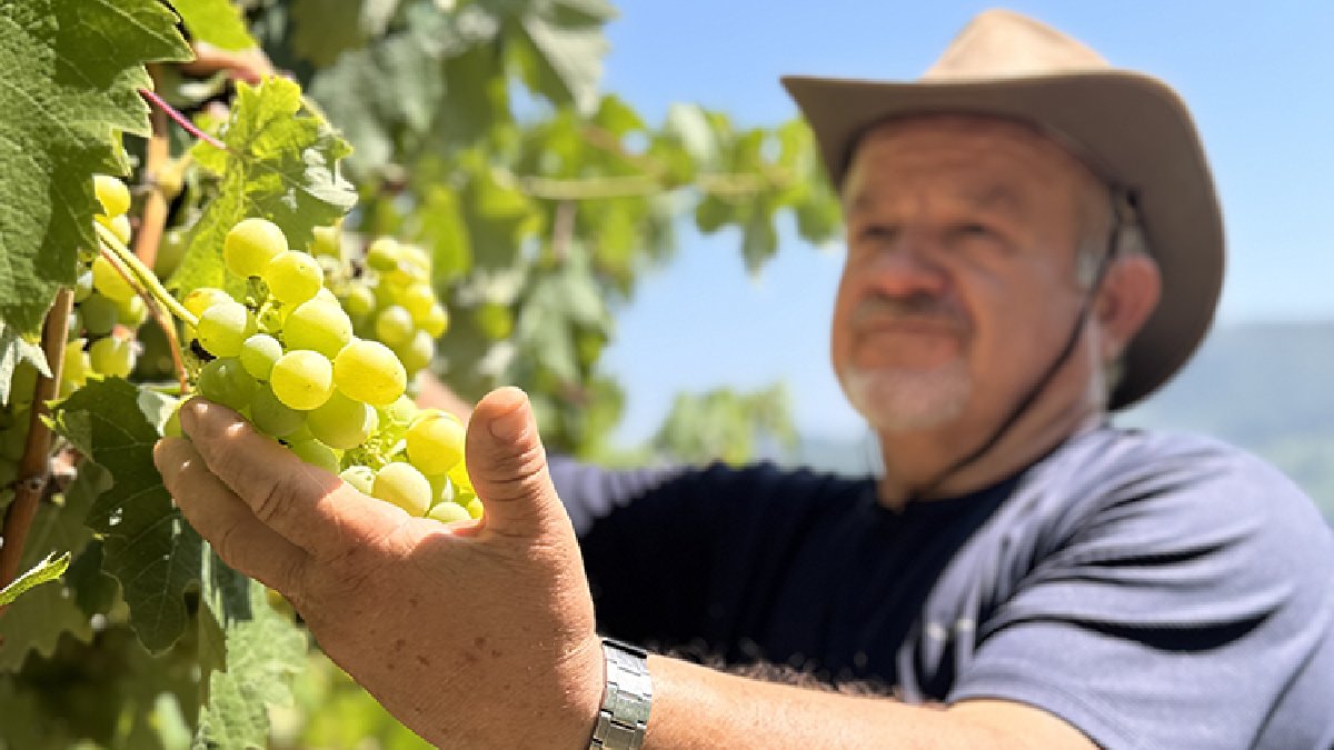 Filmde gördü yıllarını verdiği mühendisliği bile bıraktı! 8 çeşidiyle kuru toprağı vahaya çevirdi