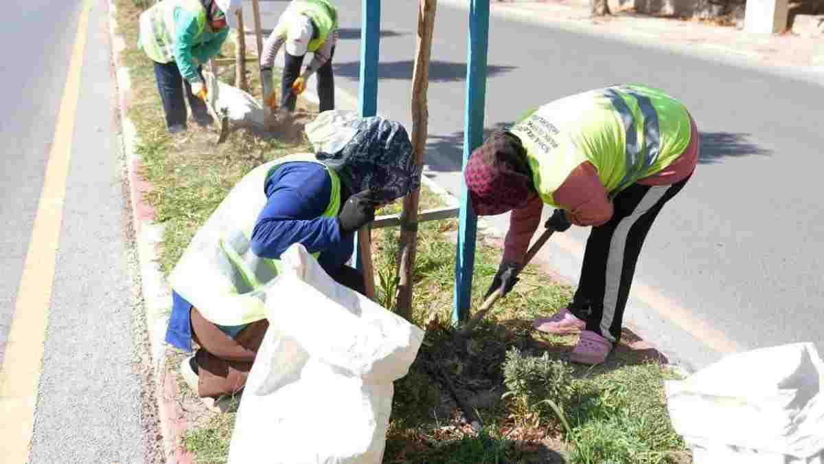 Soma’nın yolları kadın emeğiyle çiçek açıyor