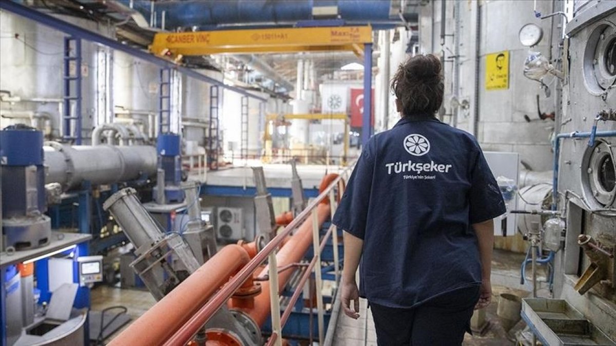 Pancar üreticisinin yüzü güldü! Açıklanan fiyata ek zam geldi: Yeni rakam belli oldu!