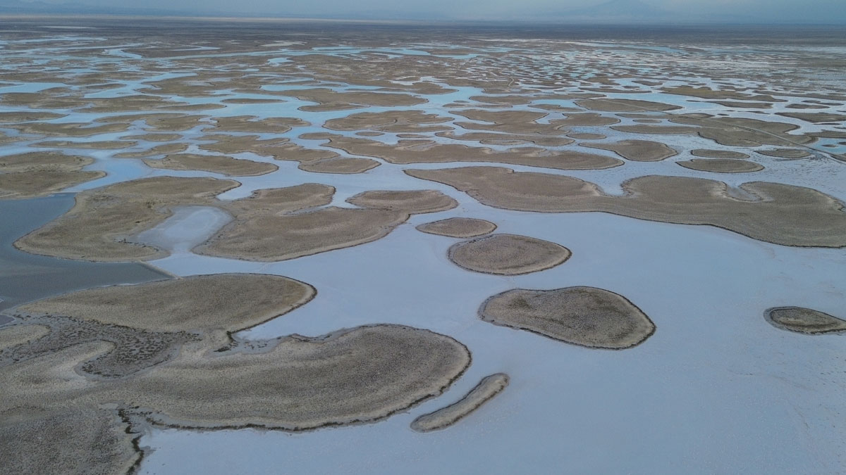 Tuz Gölü’nde kuraklık alarmı: Biyolojik çeşitlilik tehlikede