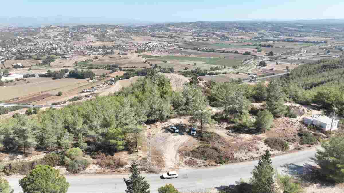 Seyhan Belediyesinden sokak hayvanları için dev adım: Doğal Yaşam Alanı Projesi hayata geçiyor!