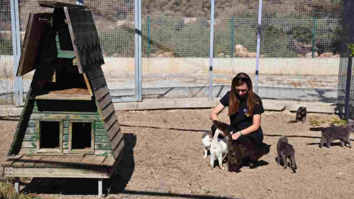 7/24 bakım ve rehabilitasyon sağlanıyor