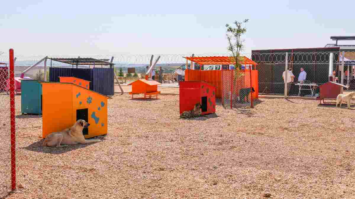 Büyükşehirden can dostlar için anlamlı çağrı