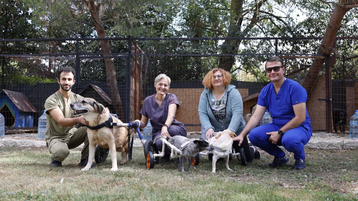 Sokak hayvanları için umudun adresi özel bakım evi oldu