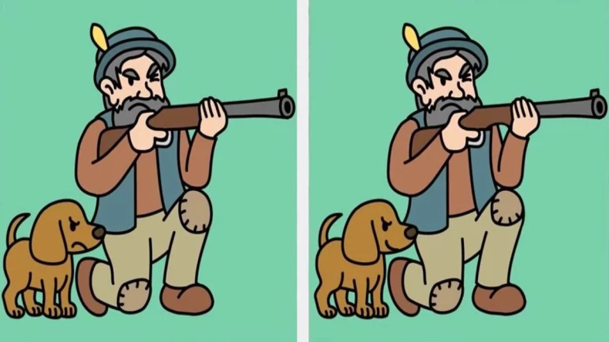 Bu testte üçüncü farkı yalnızca dahiler görebiliyor! Avcı resmindeki detayları 14 saniyede bulabilir misiniz?