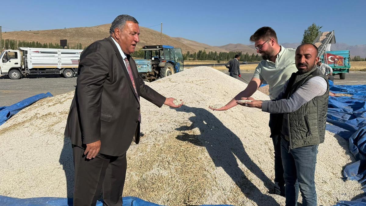 Fasulye üreticisi tarlada perişan: Fiyatlar maliyetin altına düştü, gözler TMO'da