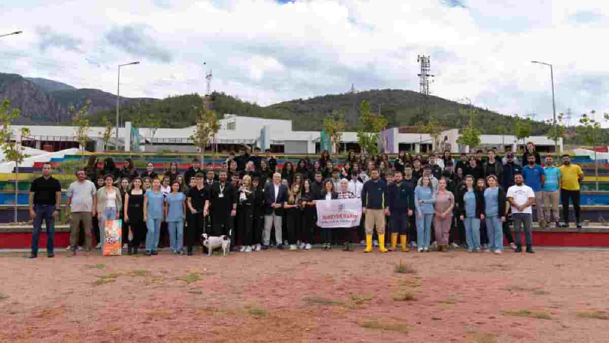 “Sahipsiz hayvanlara kötü muamele son bulsun”