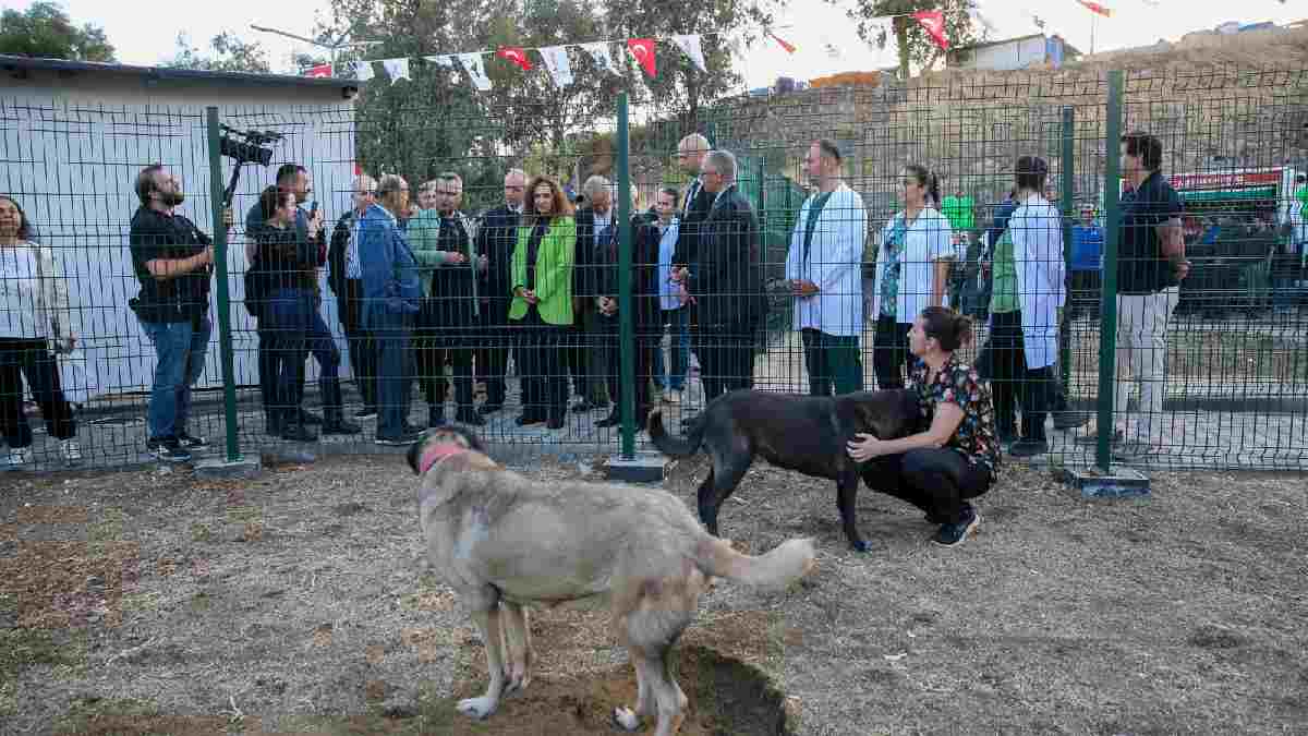 Karşıyaka’da sokak hayvanları için yeni tesis