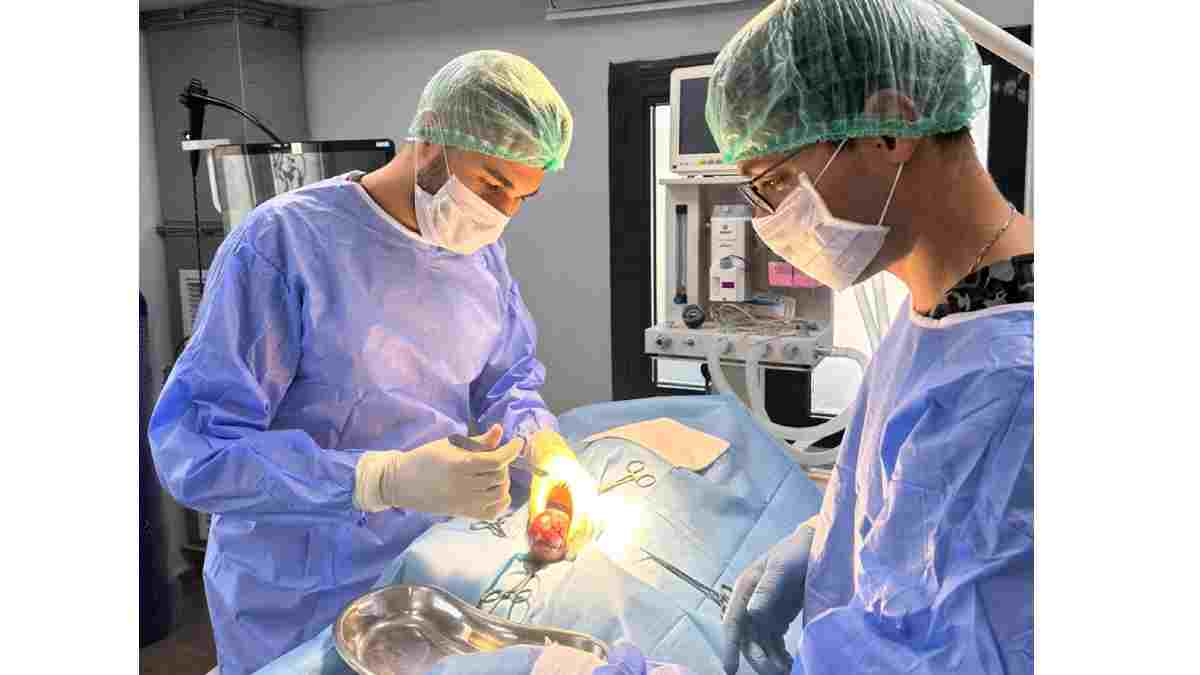 Büyükşehir, Balıkesir'de bir ilki gerçekleştirerek Gofret’i hayata döndürdü