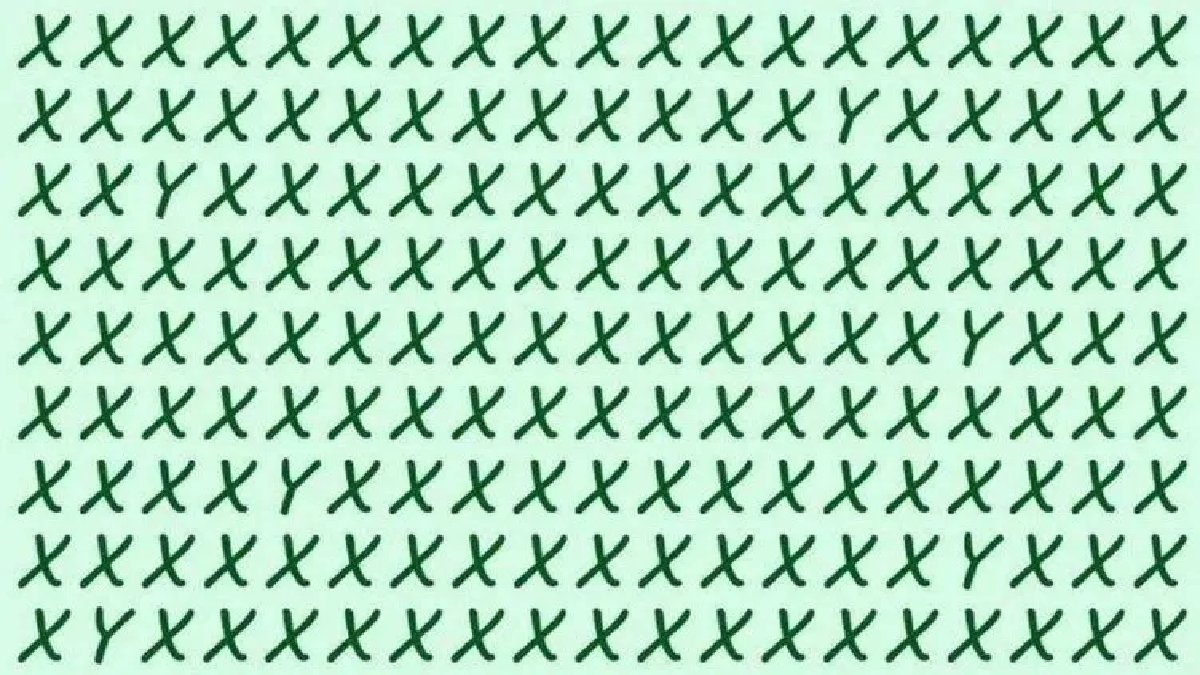 Yalnızca %3’lük kesim fark ediyor! 13 saniyede 6 ‘Y’ harfini bulabilir misiniz?