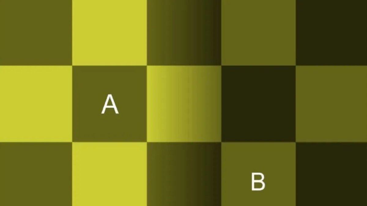 Kimse farkı ayırt edemiyor! Koyu olanı bulan gözlerini kanıtlar! A mı daha koyu yoksa B mi?