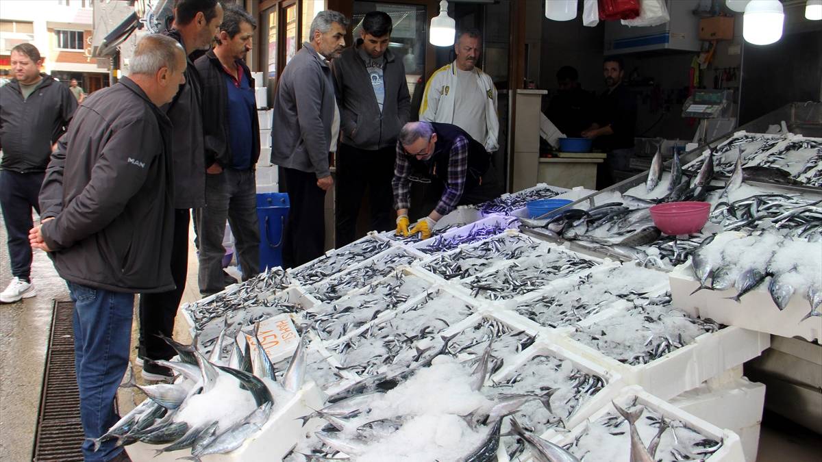 Denizden sofraya bereket! ! Tezgahlar bollukla coştu, kilosu 150 TL’den satışa çıktı