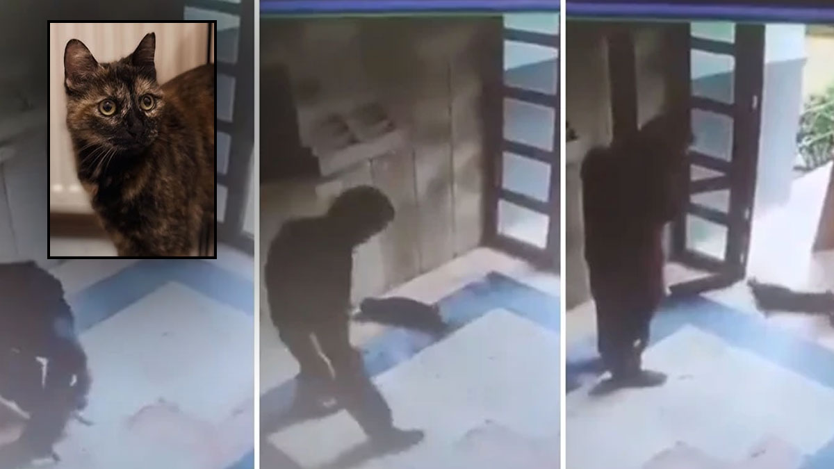 Cezve'nin katiline en üst sınırdan ceza