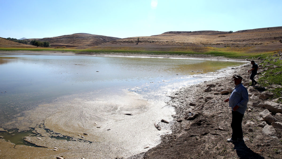 Tozlu Göleti'nde endişe veren manzara: Su seviyesi çekildi, balıklar öldü
