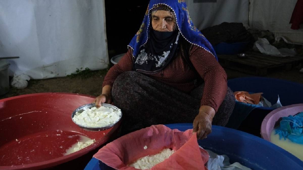 3 bin rakım, saf süt, doğal tat! Erzincan’dan tüm sofralara: Geleneksel üretim, tescilli lezzet