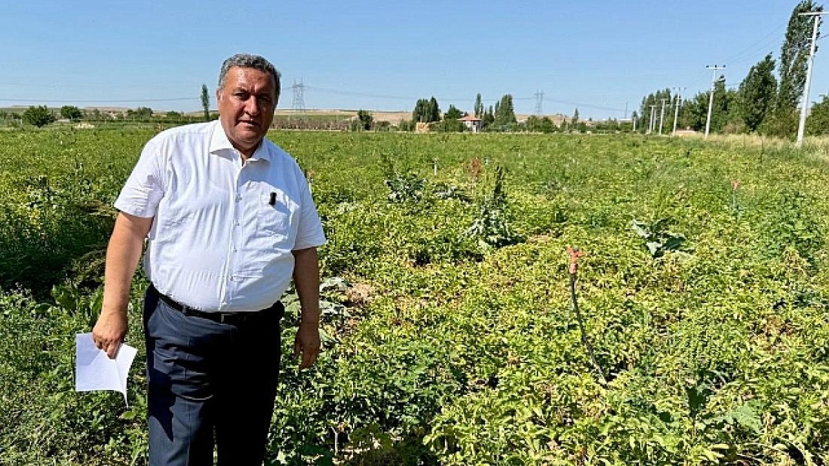 Böylesi görülmedi: 1,1 trilyon lira tarım borcu ve 5,5 trilyon lirayı aşan bireysel borçla rekor seviye