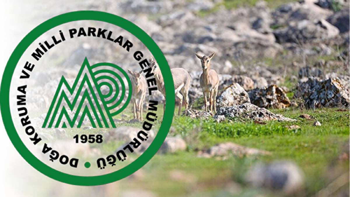 Resmi Gazete'de büyük sürpriz! Doğa Koruma ve Milli Parklar Genel Müdürlüğü onlarca personel alıyor