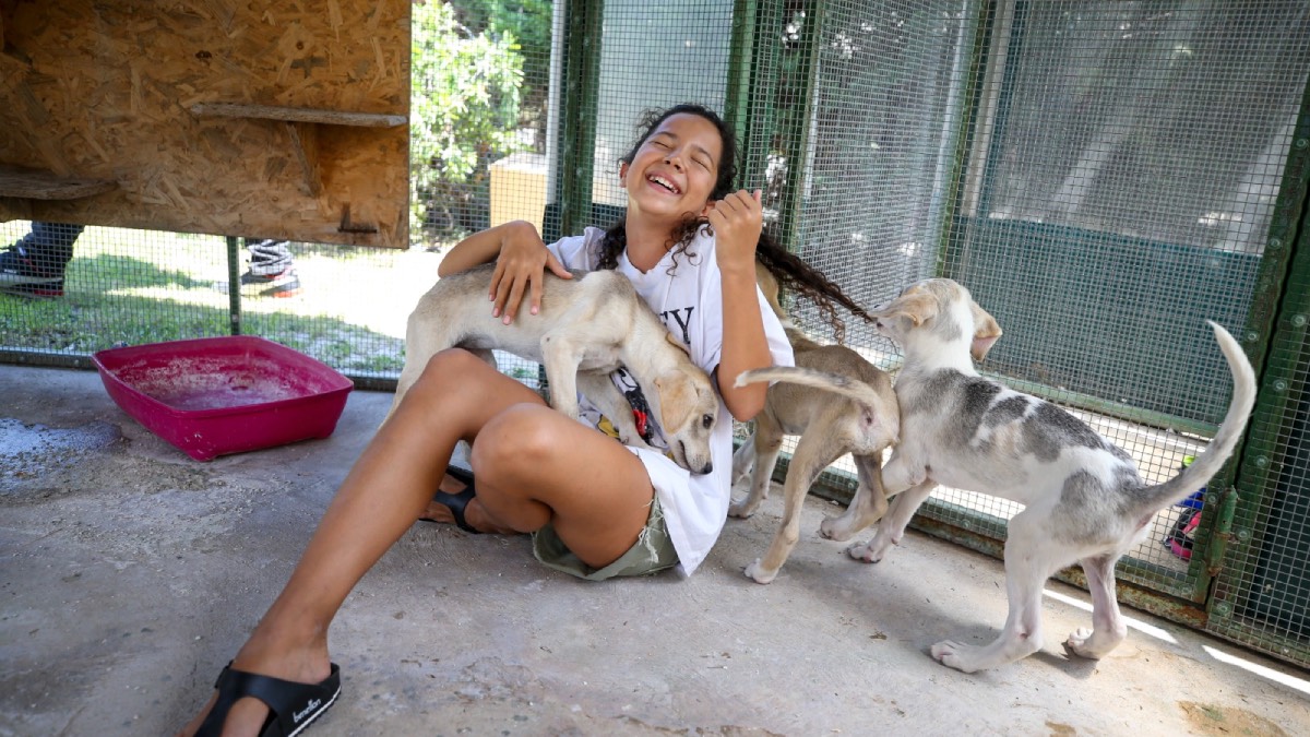 Karşıyaka’da mama bağışı kampanyasında 25 ton mama toplandı