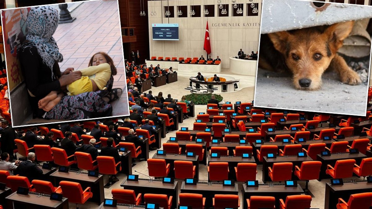 11. Yargı Paketi’nde yeni suç tanımları: Vicdan sömürüsüyle bağış toplamaya hapis