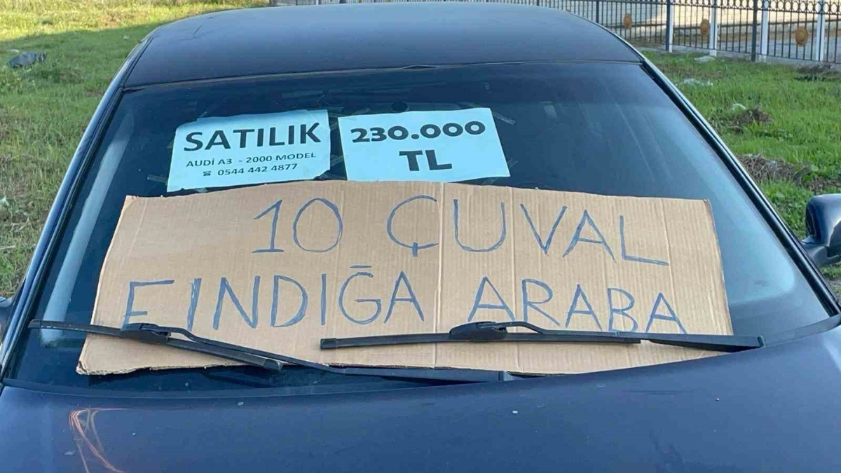 Arabasını satılığa çıkardı, 10 çuval fındık istedi! Parayla değil fındıkla Audi’sini satılığa çıkardı