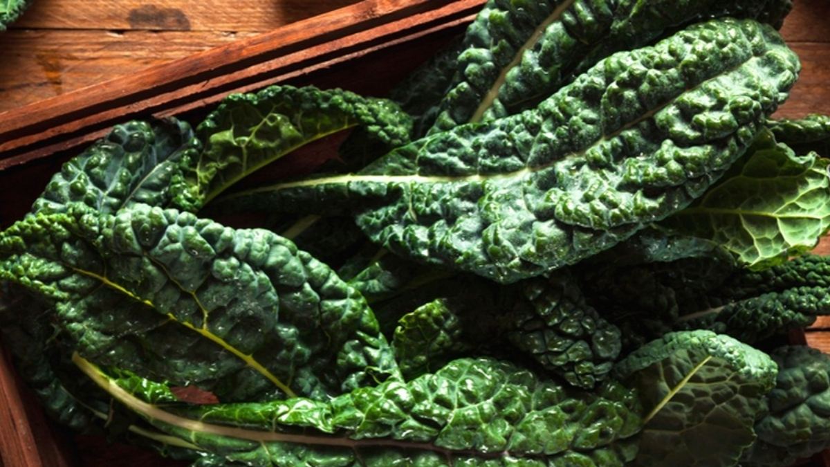 Hem yemeği hem dolması Türk mutfağının vazgeçilmezi! Sağlığa olan faydası lezzetini katlıyor: Vücudu baştan onarıyor