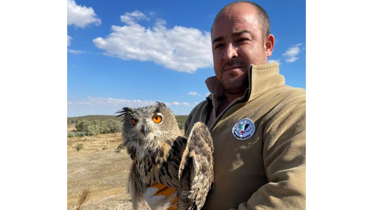 Yaralı puhu kuşu tedavisinin ardından doğaya salındı