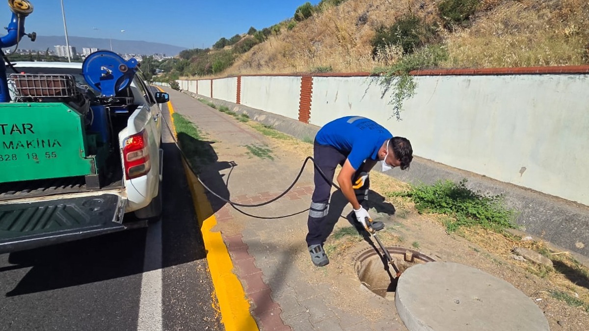 Kent zararlılarına karşı mücadele sürüyor