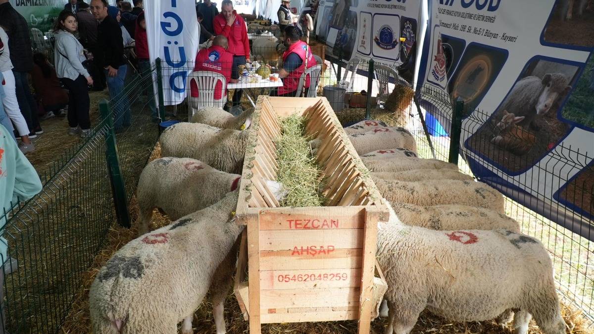 Balıkesir Tarım ve Hayvancılık Fuarı ziyaretçi rekoru kırdı