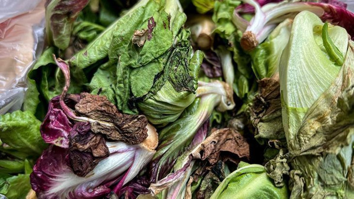 Çöpe giden yeşilliklere ağlamaya son! Poşete koyacağınız bir tane poşet çayın yaratacağı mucizeye inanamayacaksınız