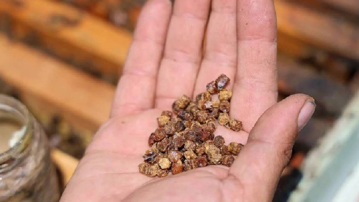 Eskiden çöp diye atılıyordu, şimdi tek tek toplanıyor! Kilosu 3.000 TL: Yeni gelir kapısı oluyor