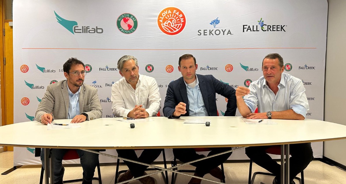 Türkiye yaban mersininde küresel oyuncu olma yolunda