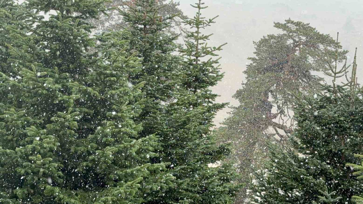 Bolu'ya mevsimin ilk karı düştü