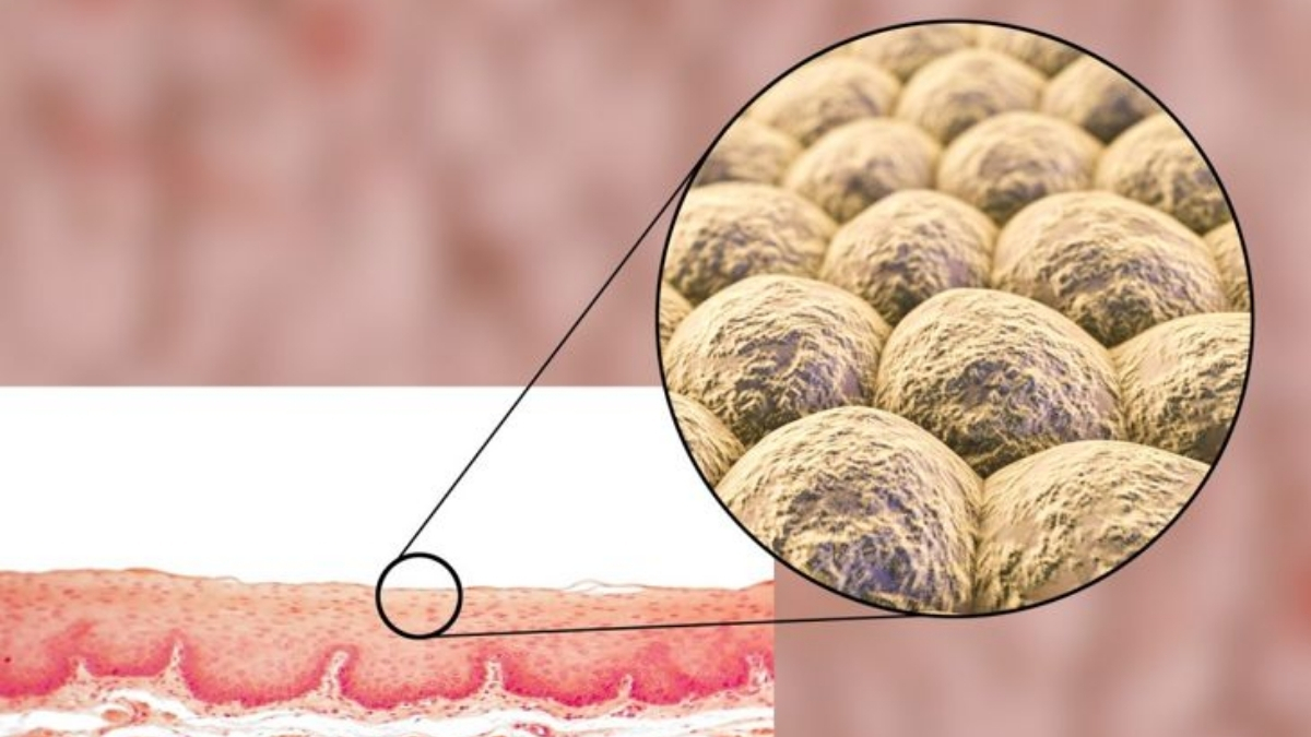 Keratin nedir, ne işe yarar? Keratinin sağlığa faydaları nelerdir? Sadece cilt bakımı için mi kullanılır?