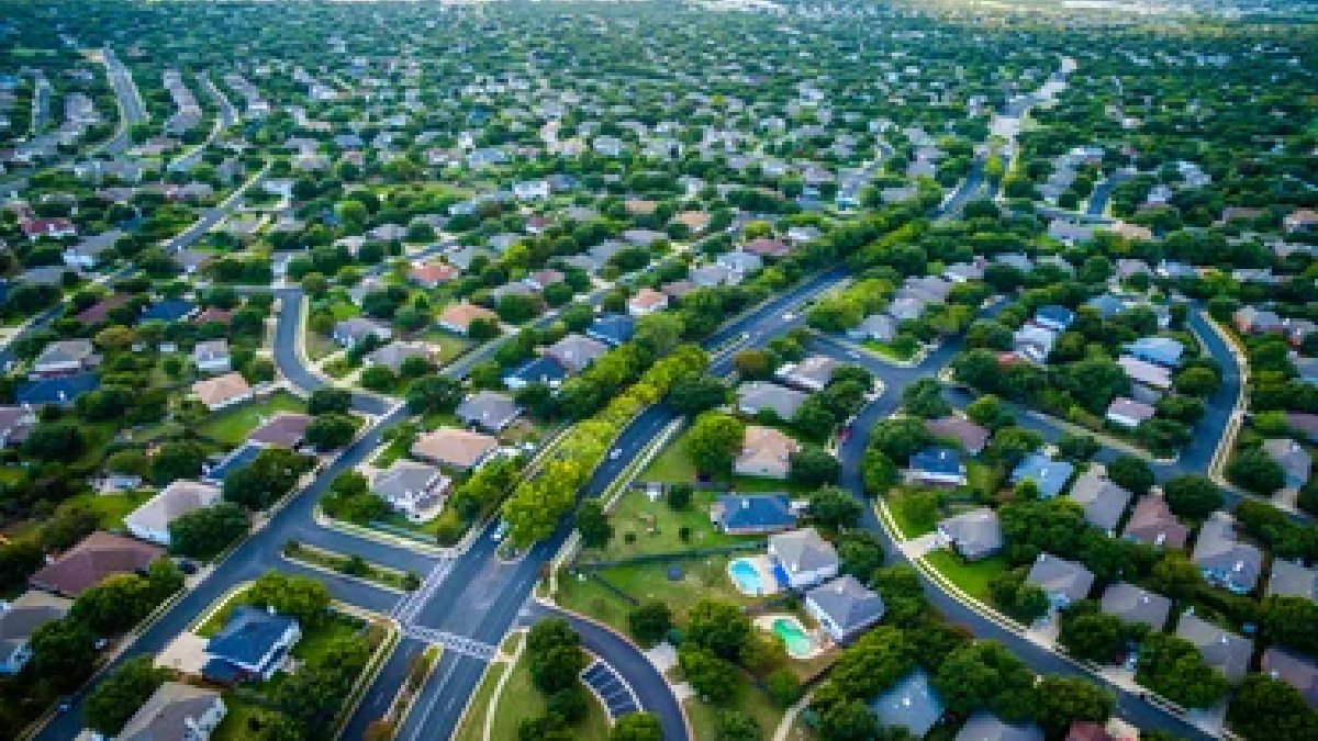Yaşadığınız mahalleleri ağaç sayısına göre seçin! Sadece gölgesi değil varlığı bile sağlık yayıyor!