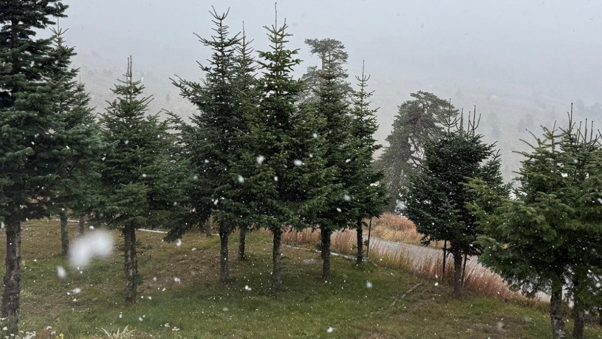 Yağmur beklenirken, kar yağdı! Yılın ilk karı yere değdi: Bolu’da özlenen görüntüler ortaya çıktı