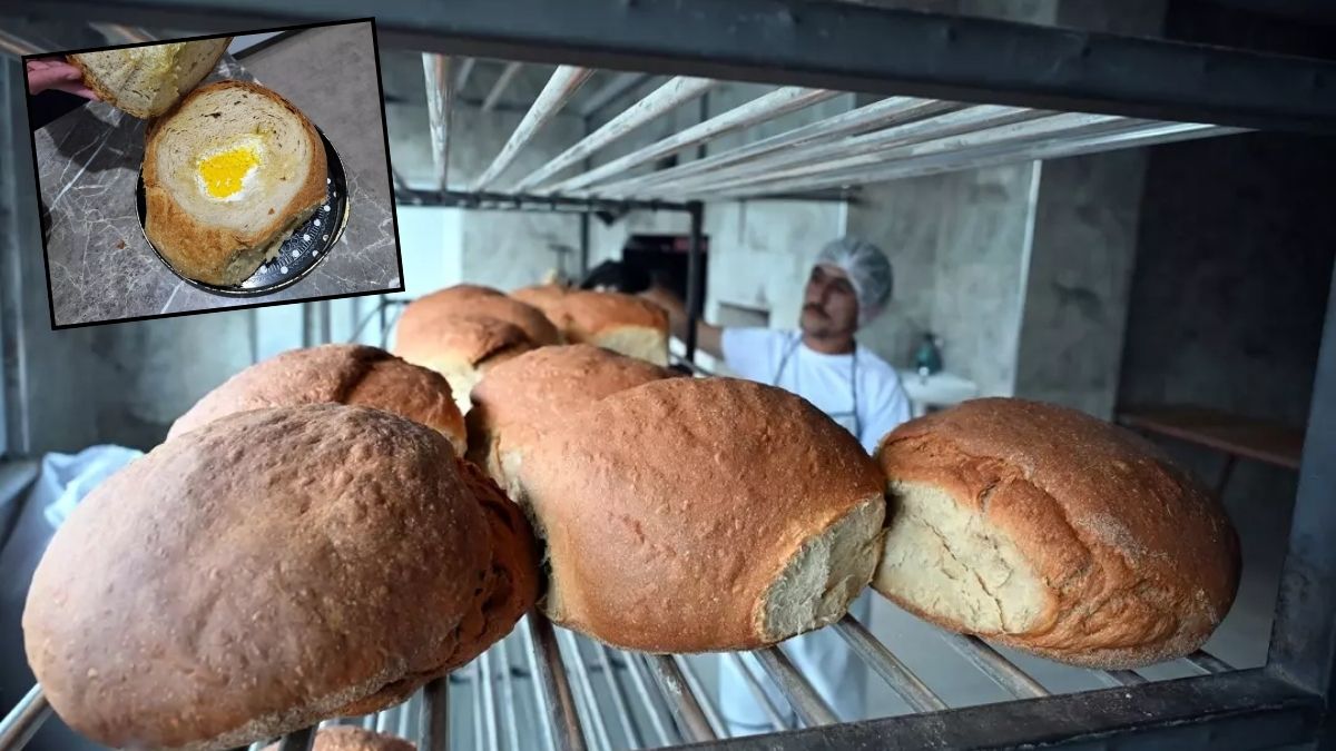 8 saatte hazırlanıyor, 7 gün taze kalıyor! ‘Diyetisyen ekmek’ yüksek talep görüyor: 400 kilo 2 günde tükeniyor