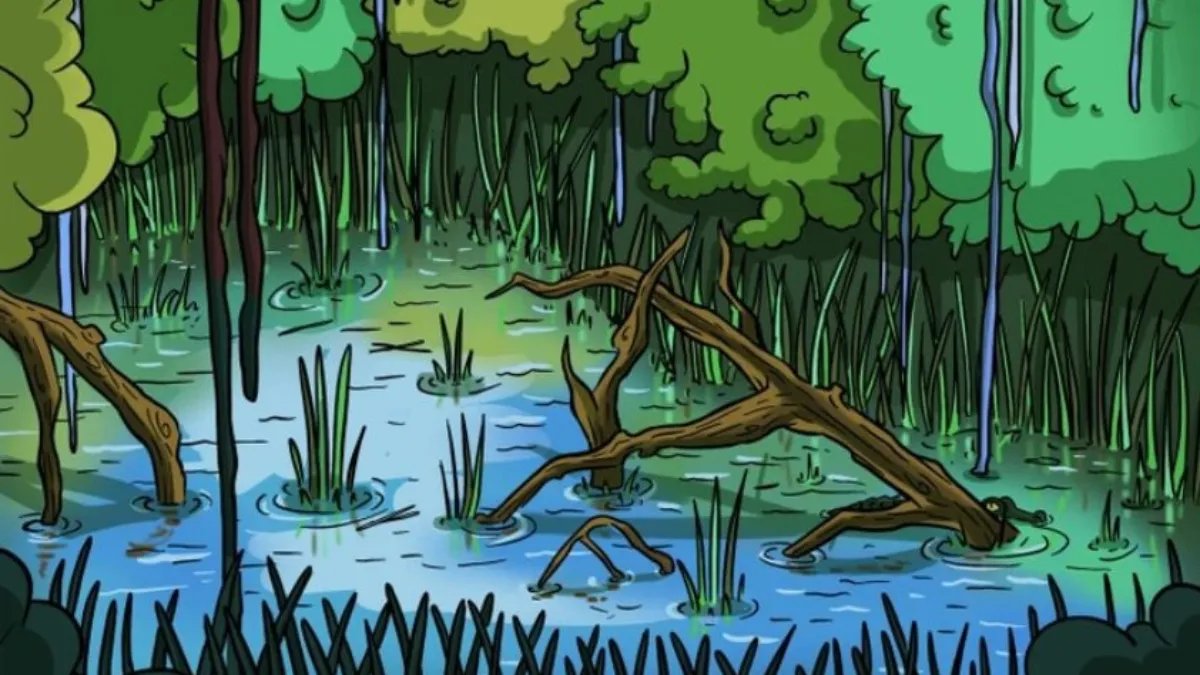 Beyin gücünü test et! Bu resimde gizlenmiş timsahı 12 saniyede bulabilir misin?