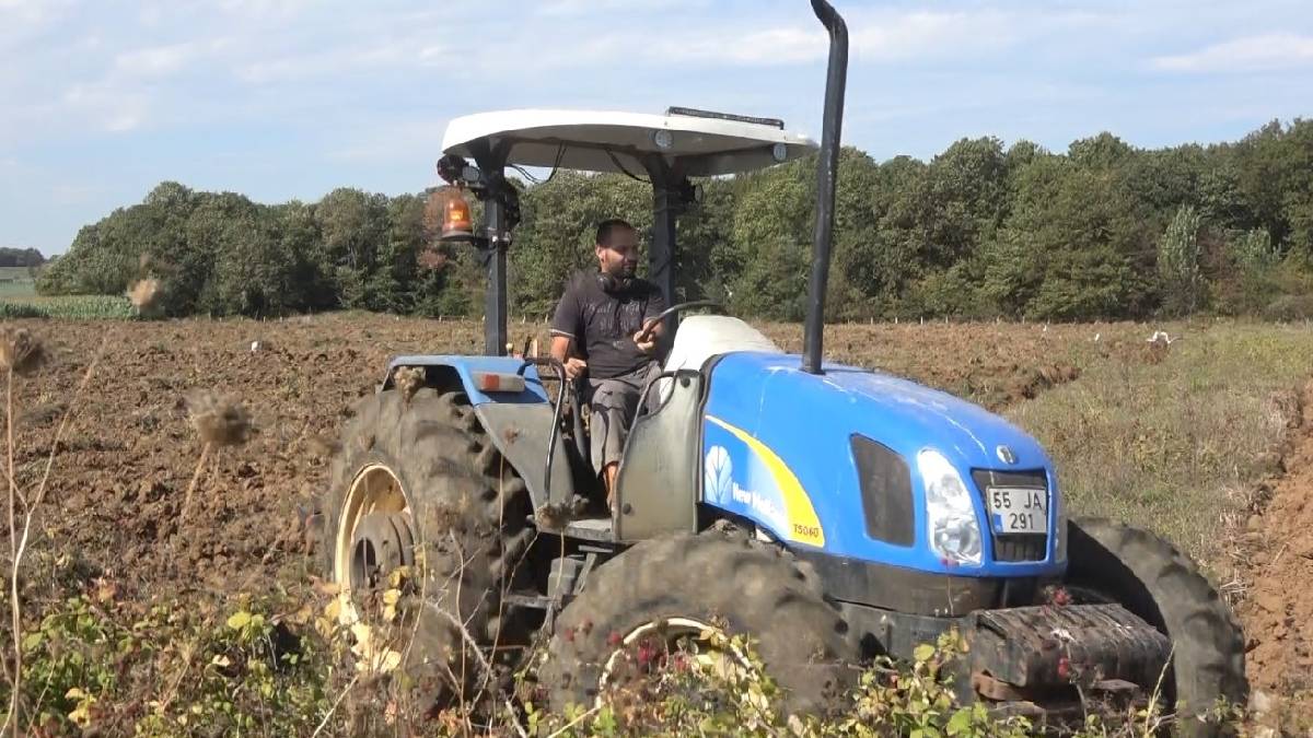 Bafra Ovası’nda kış mesaisi başladı: 100 bin dekarda tohum toprakla buluştu!