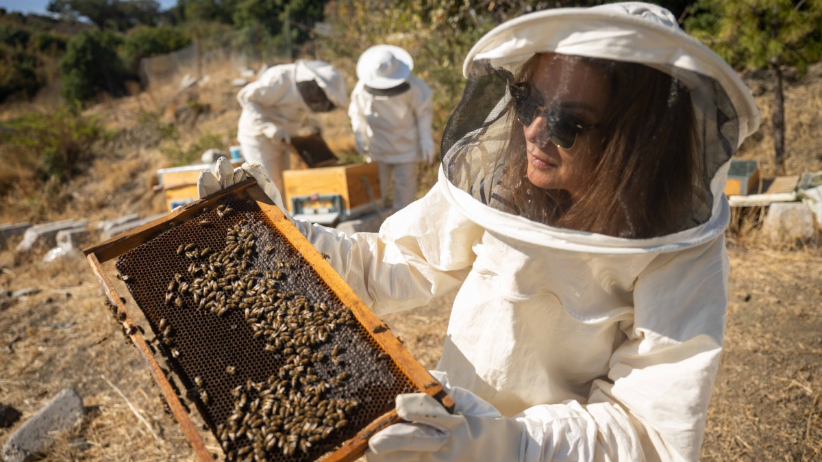 Bornova Belediyesinin eğitimleri başarı ile tamamlandı: Kursiyerlerin kovanlarından bal hasadı yapıldı