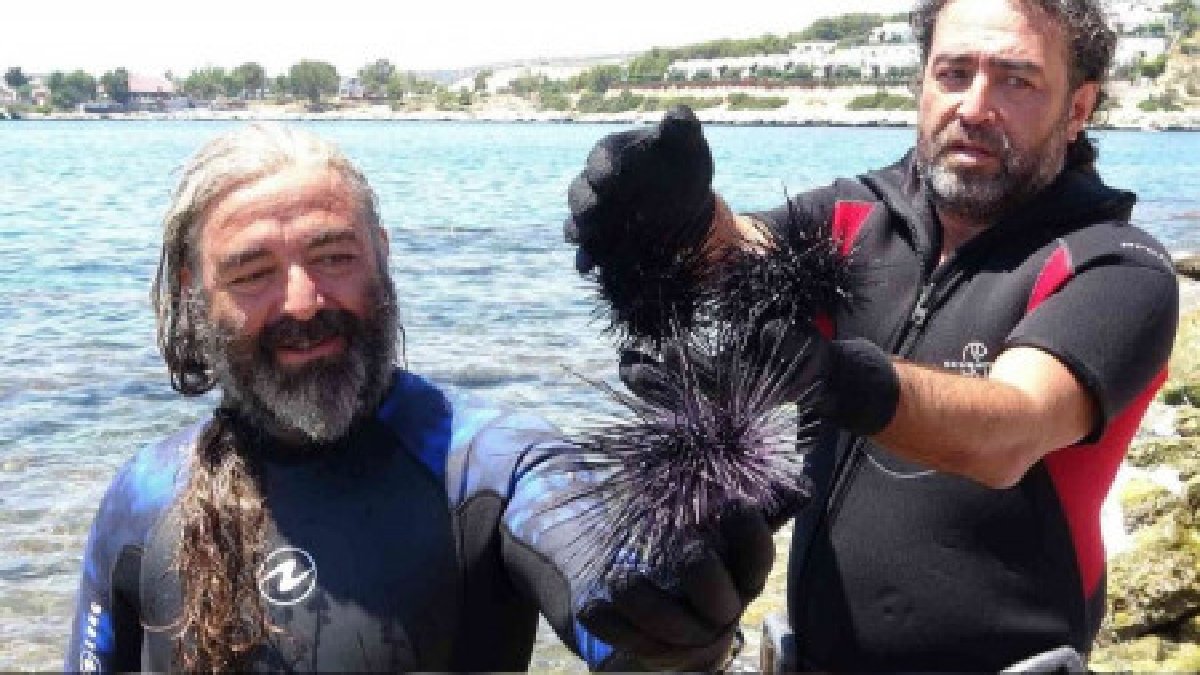 Herkes merak ediyor ama o her şeyi yok ediyor! Uzun dikenleri zehir saçıyor