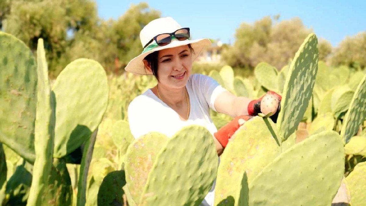Alay konusu oldu ama yolundan vazgeçmedi! Kuraklık onu hiç etkilemiyor: Ürünlerin hepsi yurt dışına gönderiyor