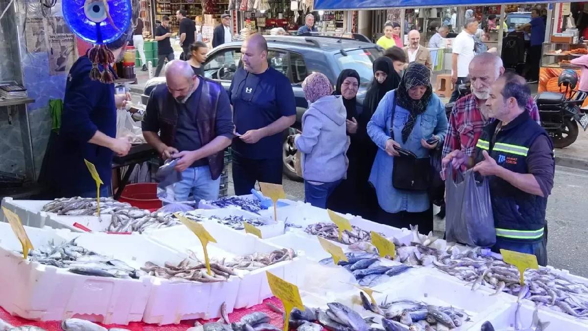 Palamudu unutun, yılın şampiyonu belli oldu! 300 TL’den 150 TL’ye düştü: Talep bir anda patladı!
