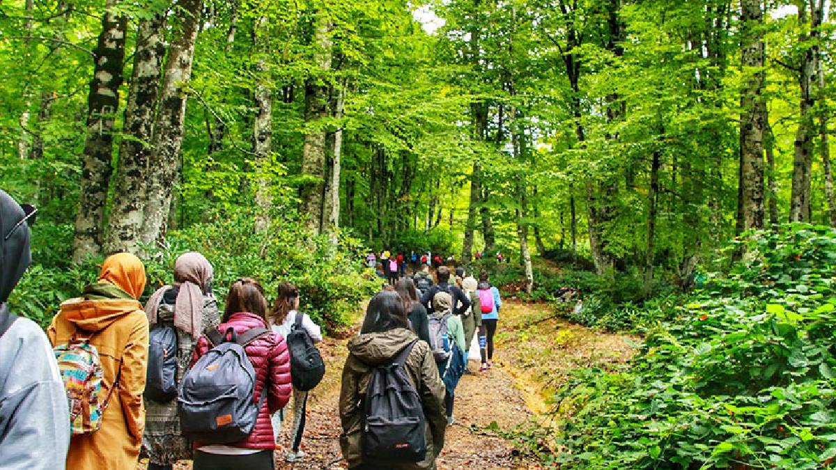 Doğanın bilimsel gücü: Sadece 20 dakika yeterli
