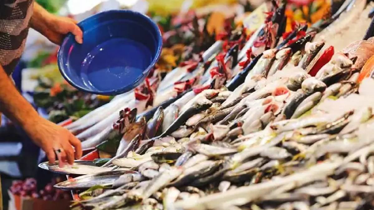 Ekim ayında taze taze hangi balık yenir? İşte mevsim balıkları listesi