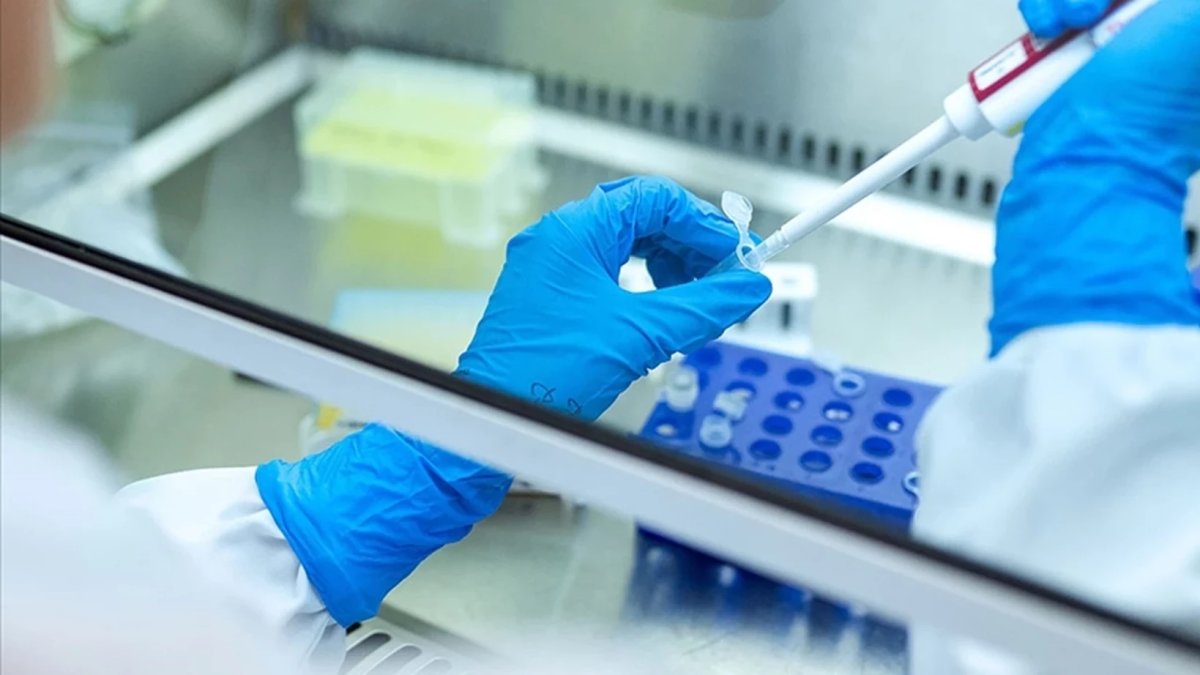 İspanyol bilim insanlarından çığır açan keşif: Kolera bakterisi kanser hücrelerini öldürüyor