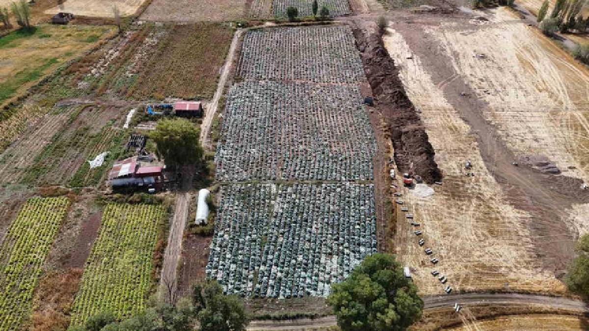 İklim değişikliğinden tarıma büyük darbe: Rekor büyüklükte mahsul kurudu, çiftçi perişan oldu!